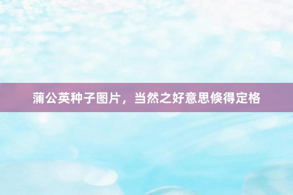 蒲公英种子图片，当然之好意思倏得定格