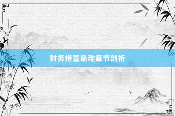 财务措置最难章节剖析